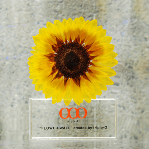 03_sunflower